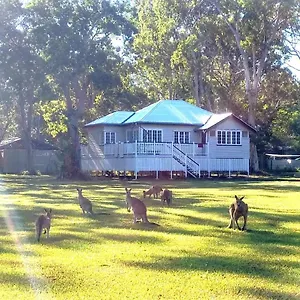 lake-weyba-noosa-lodge-kangaroos.hotelssunshinecoast.net/